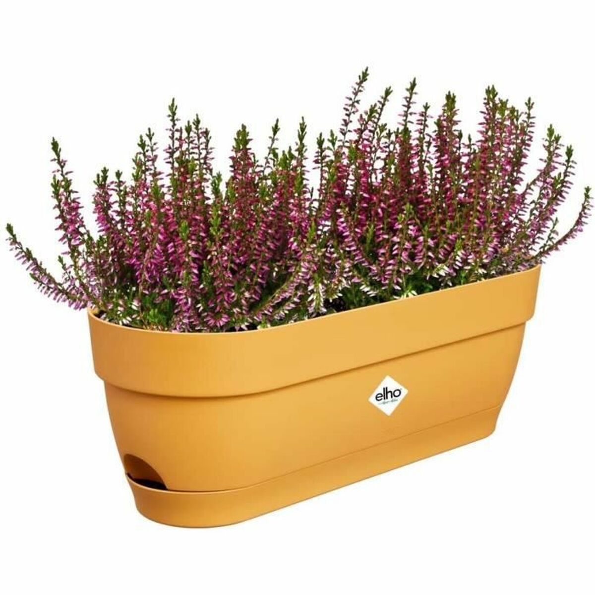 Ültetőláda Elho 50 cm Műanyag